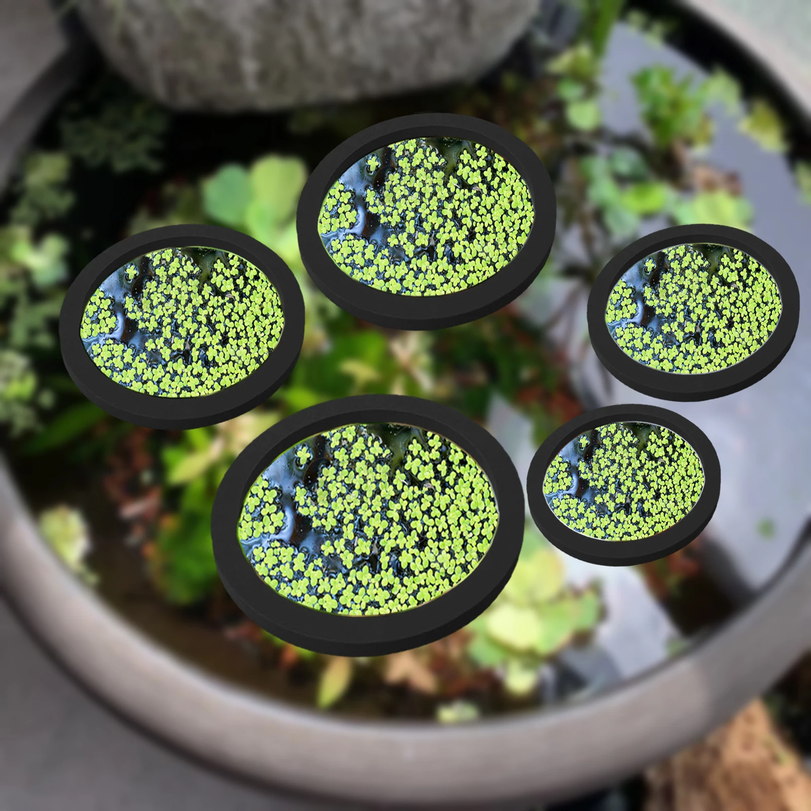 Aquarium Planted Fish Tank - 5 個 EVA 魚給餌リング水族館浮遊植物囲い水槽フロート植物バリア水族館の池 Accessorie 植物リング