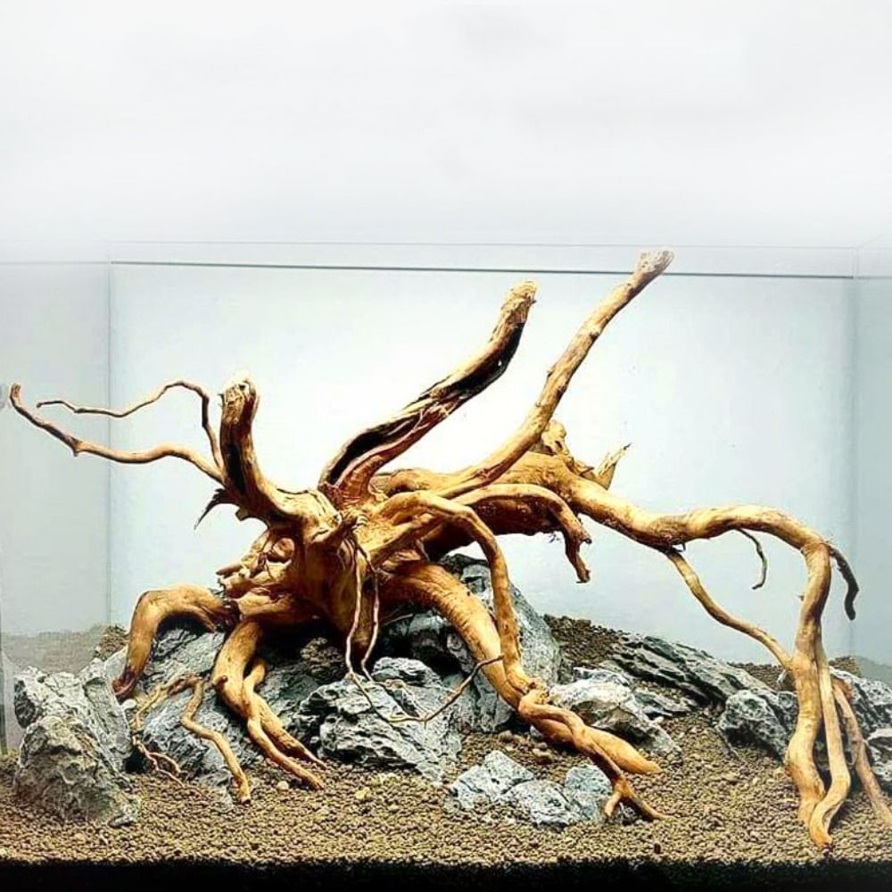 Aquarium Planted Tree - 20-25CM大型水槽流木天然魚タンク植物装飾ツリーフィッシュボウル切り株水槽フィッシュタンク造園装飾ペット用