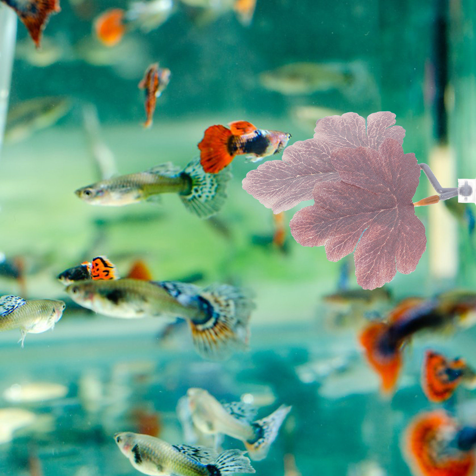 Planted Aquarium Betta - 人工ベタリーフリーハンモック、リアルな水槽用植物、魚の装飾、繁殖・休憩場所、水に安全、簡単設置、小型