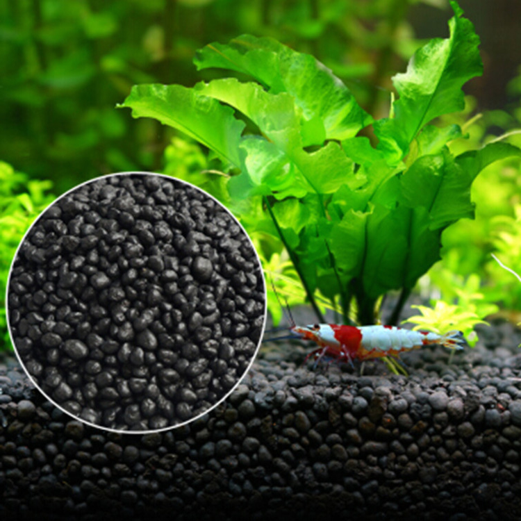 Aquarium Plant Order - 水族館植物の種子,水槽の素材,砂,土壌肥料,魚の手入れ,淡水水族館の付属品