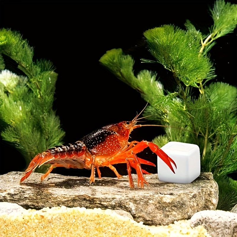Aquarium Plant Liquid Fertilizer - 6個入り 魚タンク用カルシウムブロックミネラル 水槽用品 爬虫類研磨用クロールキューブ 亀用石 カタツムリ用タンクカルシウム