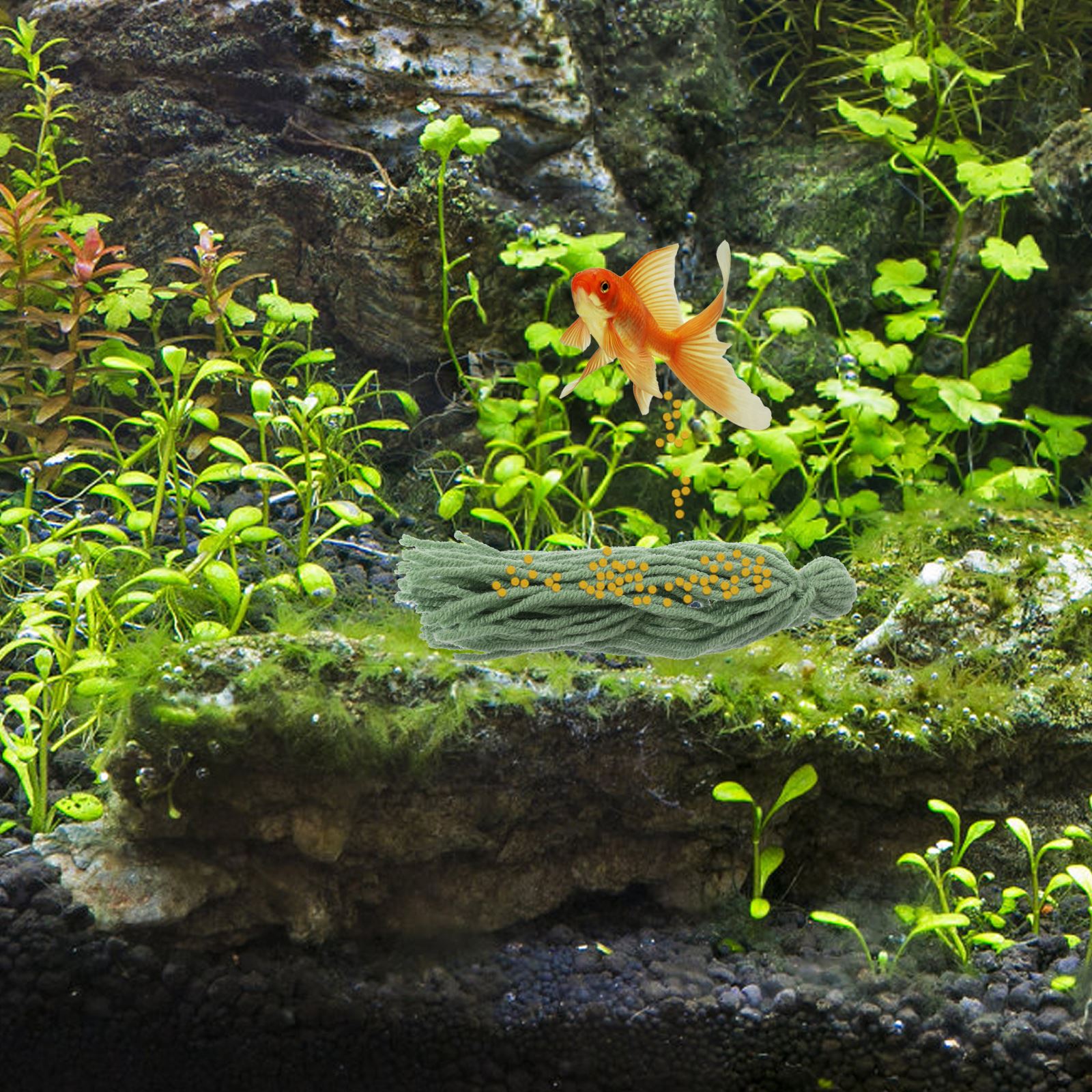 5 個の水槽産卵品種モップ水族館エンゼルフィッシュ糸繁殖ツー - Aquarium Plant Liquid Fertilizer のレビューと価格