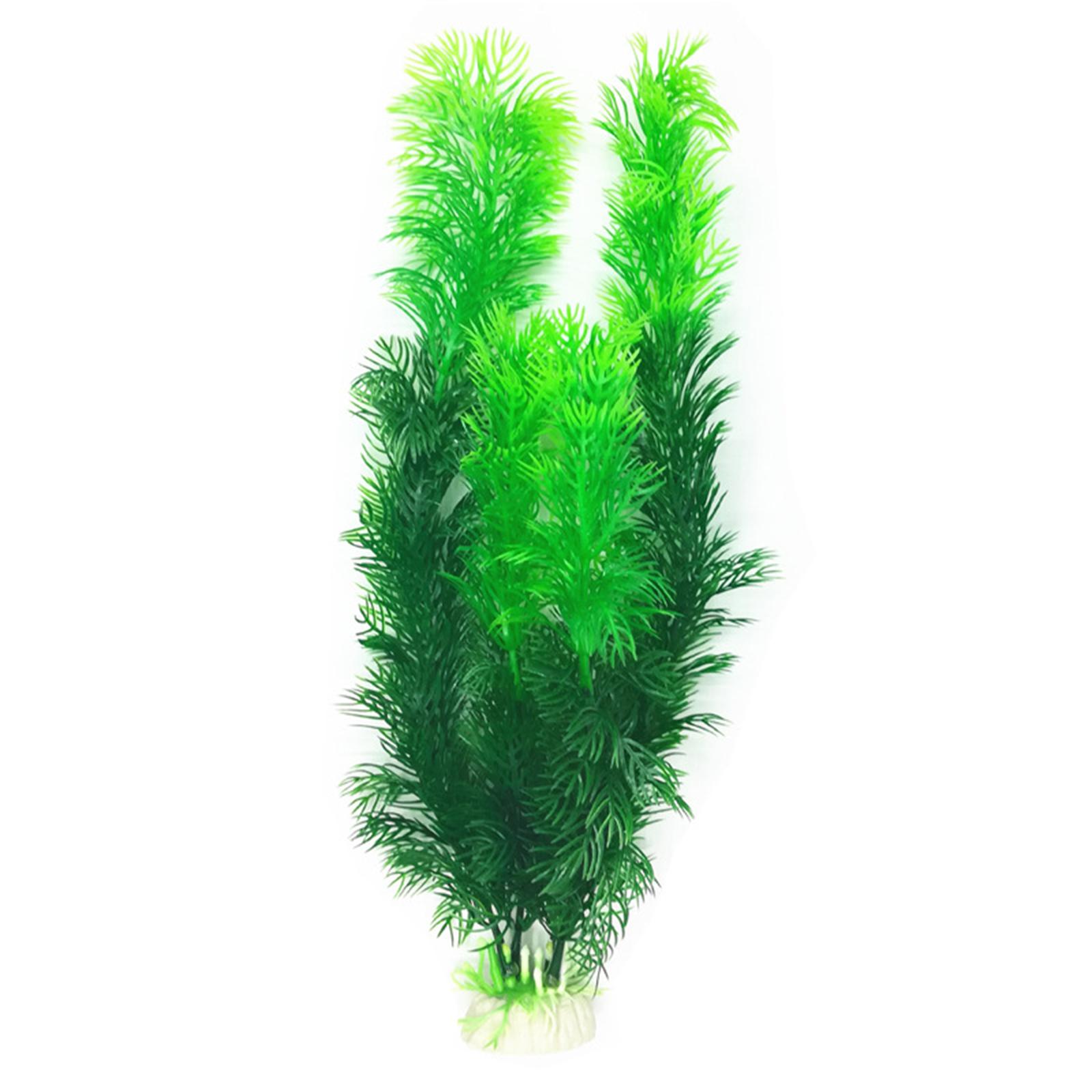 人工水槽植物セット プラスチック製水槽装飾品 リアルな装飾品 - Planted Aquarium Tank Kit のレビューと価格