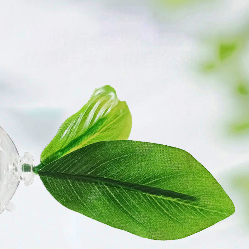1 個のグリーンリーフハンモック、ベタ魚用ストレス軽減水族館 - Planted Aquarium Betta のレビューと価格