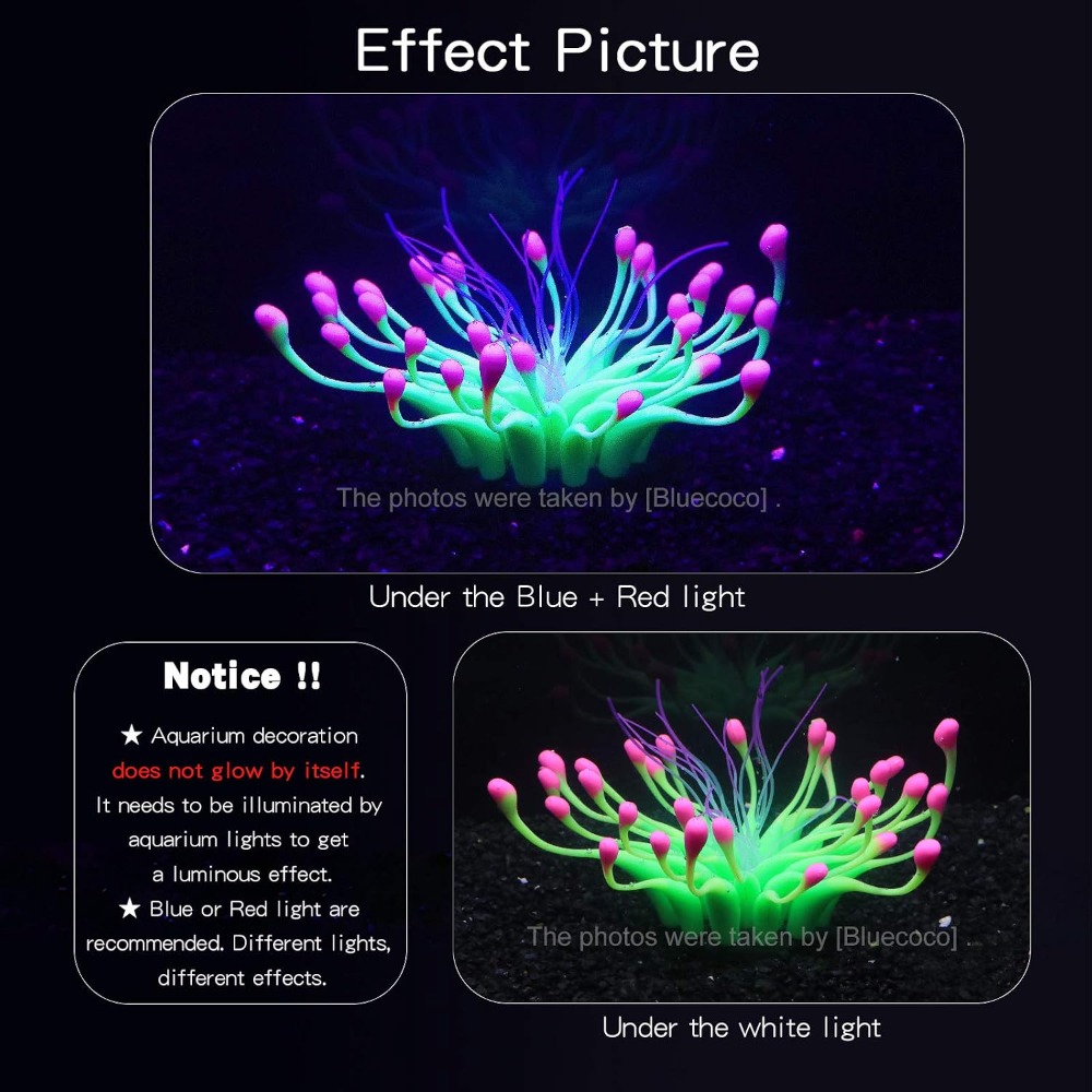 柔らかいシリカゲルが自然に水に浮かぶ水槽飾り、暗闇で光る発光 - Aquarium Plant Liquid Fertilizer のレビューと価格