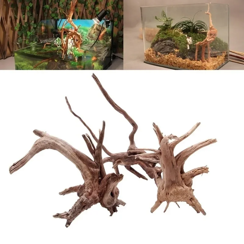 水族館、魚のタンク、爬虫類の根の植物、木の装飾、装飾アクセサ - Aquarium Planted Tree のレビューと価格