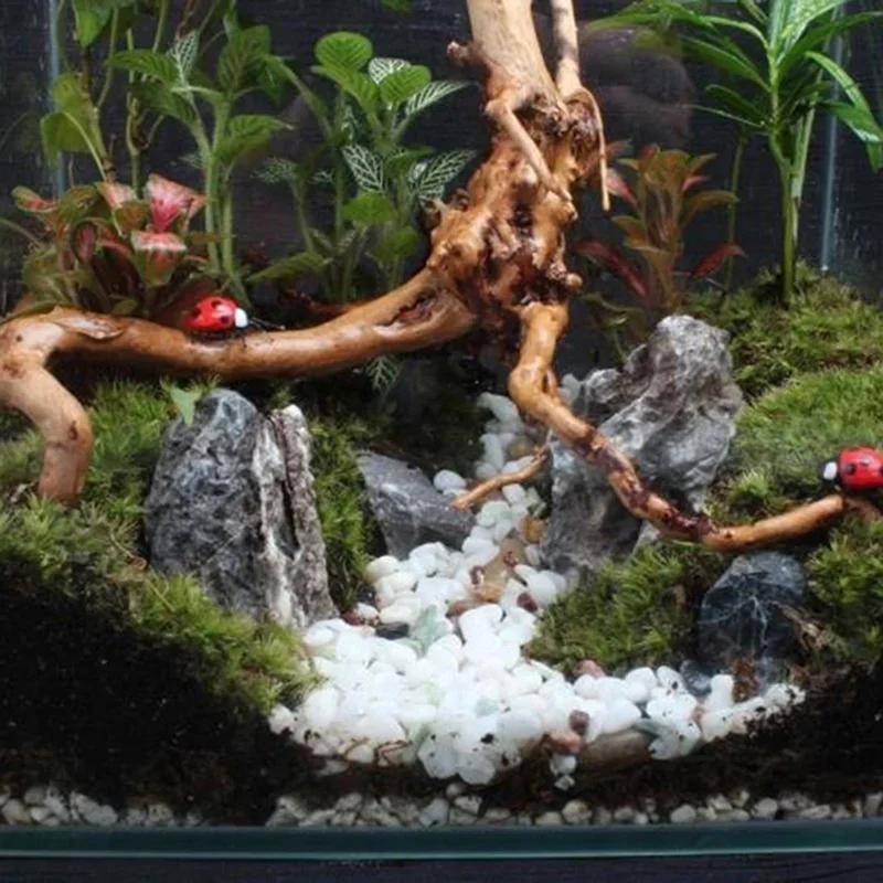 水族館、魚のタンク、爬虫類の根の植物、木の装飾、装飾アクセサ - Aquarium Planted Tree のレビューと価格