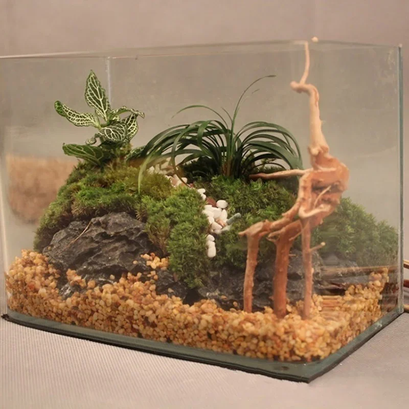 水族館、魚のタンク、爬虫類の根の植物、木の装飾、装飾アクセサ - Aquarium Planted Tree のレビューと価格