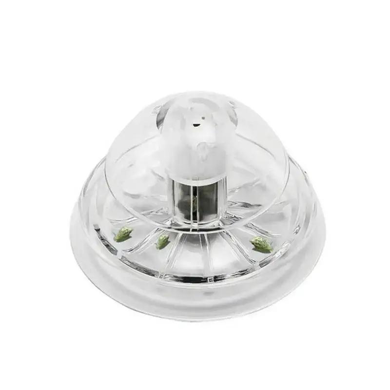 2026年新発売 6/8CM 透明プラスチック製カタツムリ捕 - Aquarium Planted Fish Tank のレビューと価格
