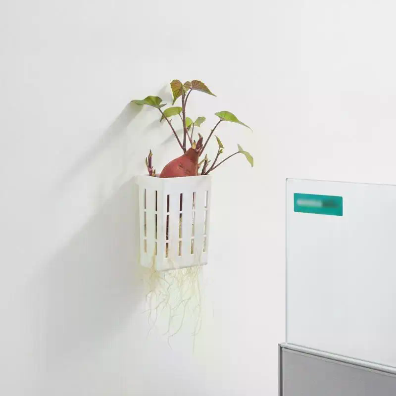 水耕栽培用サポートバスケット1個、水槽用植栽カップ、水草水生 - Aquarium Planted Fish Tank のレビューと価格