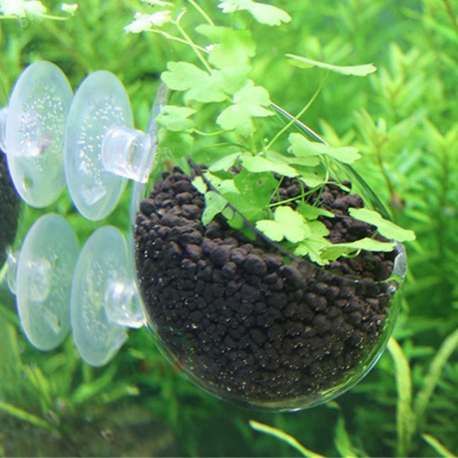 水槽用植物ホルダー ガラス製水草ポット 吸盤付き 生きた植物 - Planted Aquarium Aquascape のレビューと価格