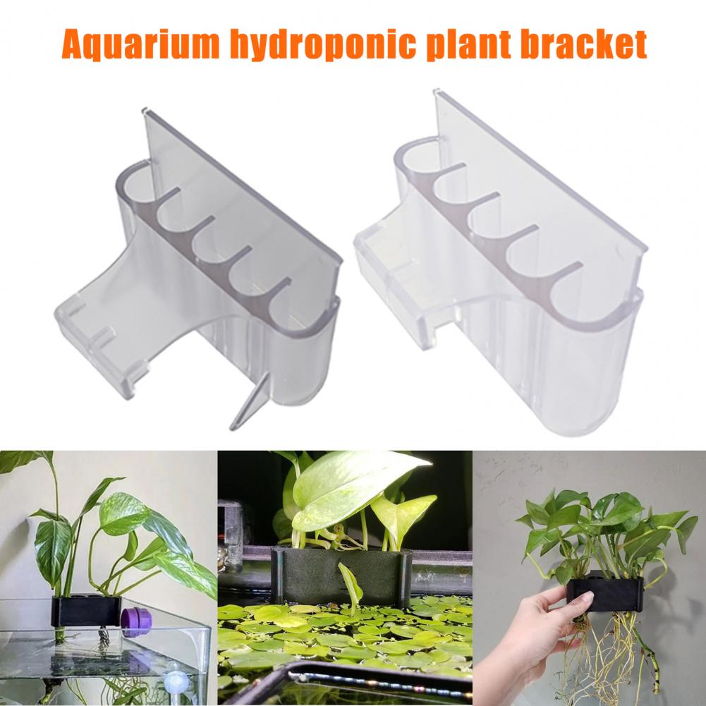 4.5/6.5 センチメートル水族館植物ホルダー水槽植物スタ - Aquarium Planted Fish Tank のレビューと価格