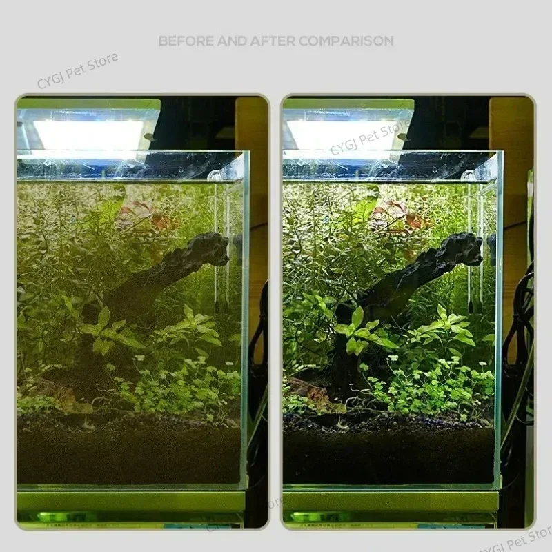 水槽クリーニングツールフラット砂藻類除去デュアルユースガラス - Planted Aquarium Tools のレビューと価格