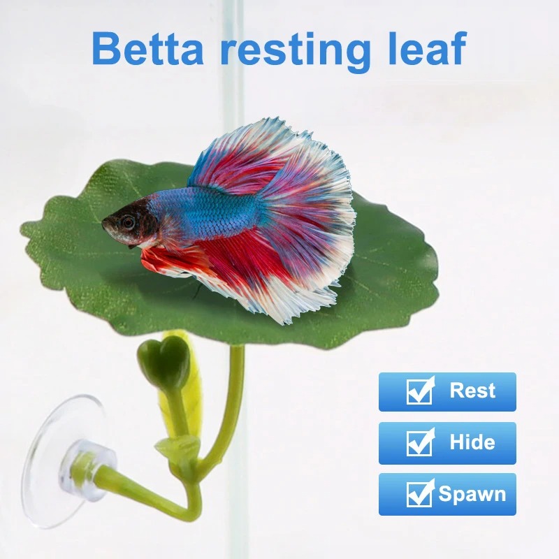 人工ベタリーフハンモック 強力な吸盤付き ストレス軽減 安全 - Aquarium Planted Tree のレビューと価格