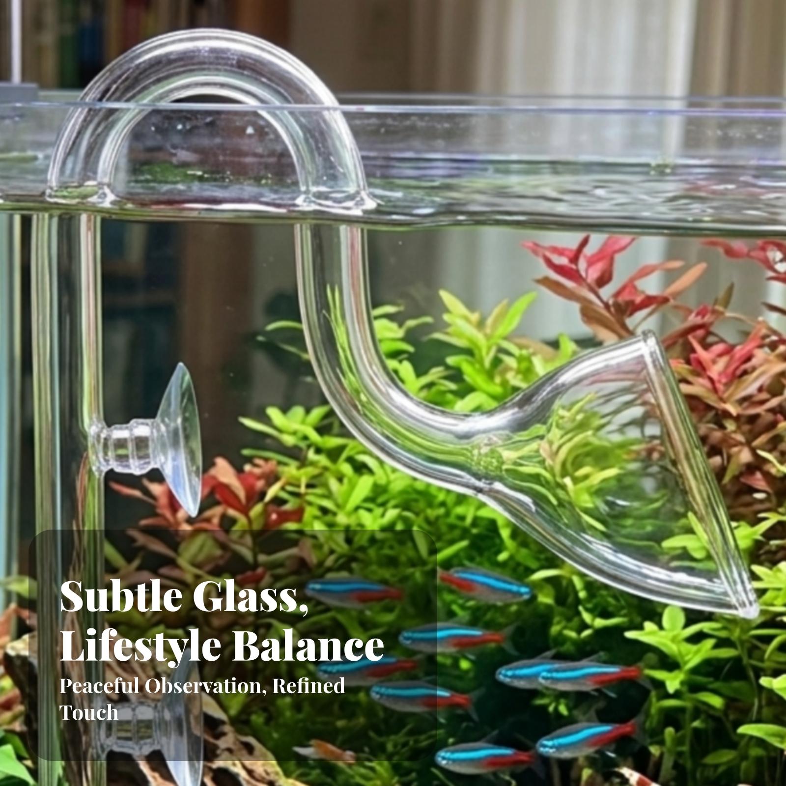 水槽フィルターの吸水口と排水口用透明リリーパイプセット、アク - Aquarium Lily Pipe のレビューと価格
