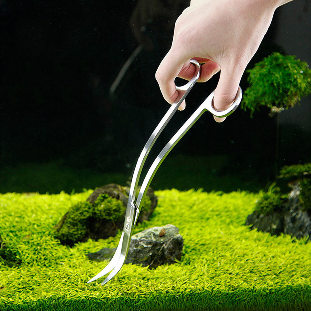 水族館アクセサリーハードステンレス鋼水族館ツールはさみピンセ - Planted Aquarium Tools のレビューと価格