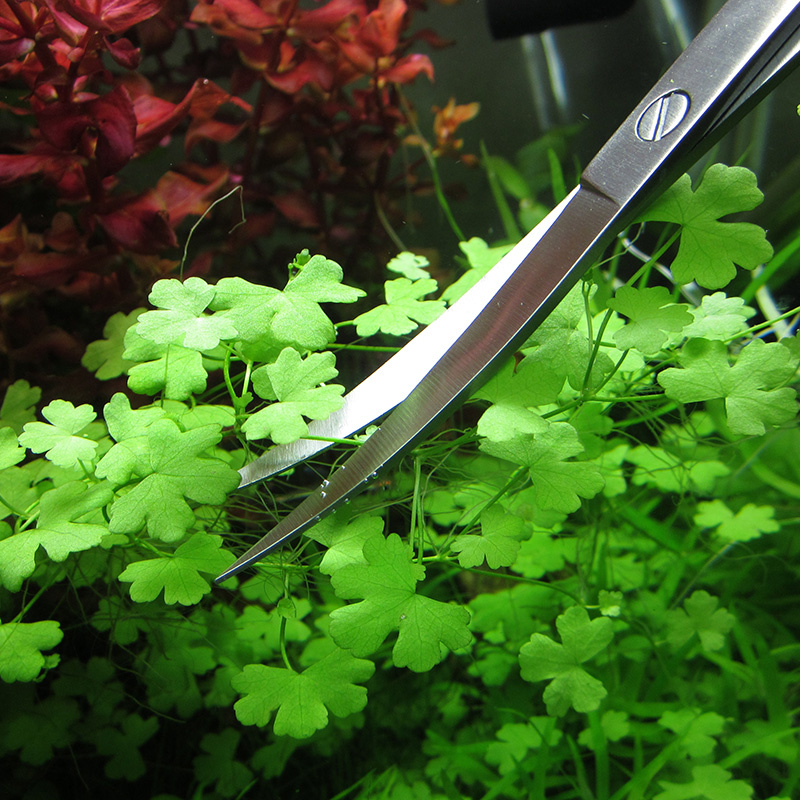 水族館アクセサリーハードステンレス鋼水族館ツールはさみピンセ - Planted Aquarium Tools のレビューと価格