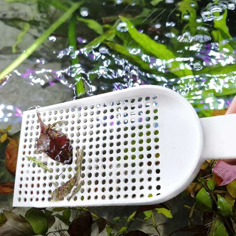 水槽用ゴミ取りネット、細かい網目、水草清掃ツール、毎日の水槽 - Planted Aquarium Tools のレビューと価格