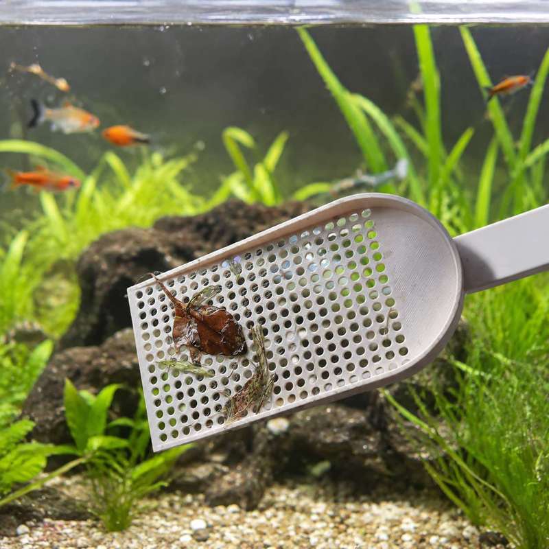 水槽用ゴミ取りネット、細かい網目、水草清掃ツール、毎日の水槽 - Planted Aquarium Tools のレビューと価格