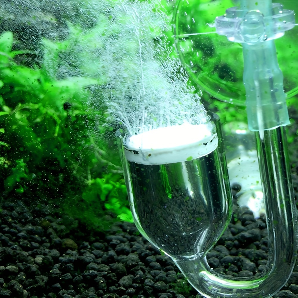 水族館用のCO2噴霧器とディフューザー,バブルカウンター,吸 - Aquarium Plant Order のレビューと価格