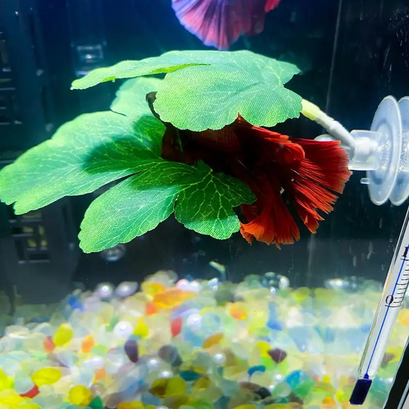 ベタ魚用リーフハンモック水槽装飾植物ベッド、リラックスや産卵 - Planted Aquarium Betta のレビューと価格