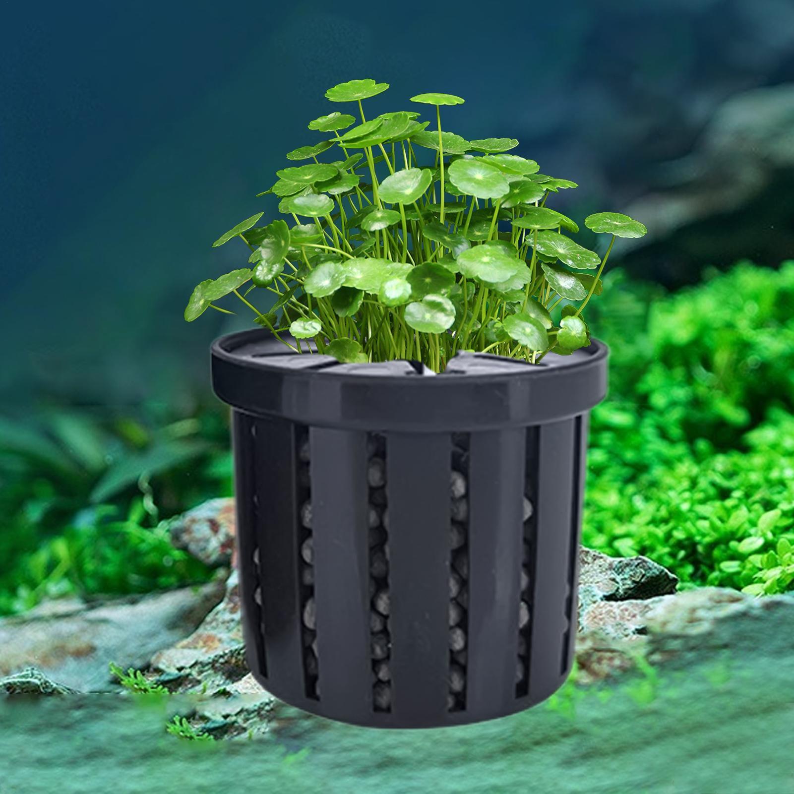 4 個水生植物吊り下げホルダー水槽プランターカップ穴付き水族 - Planted Aquarium Aquascape のレビューと価格