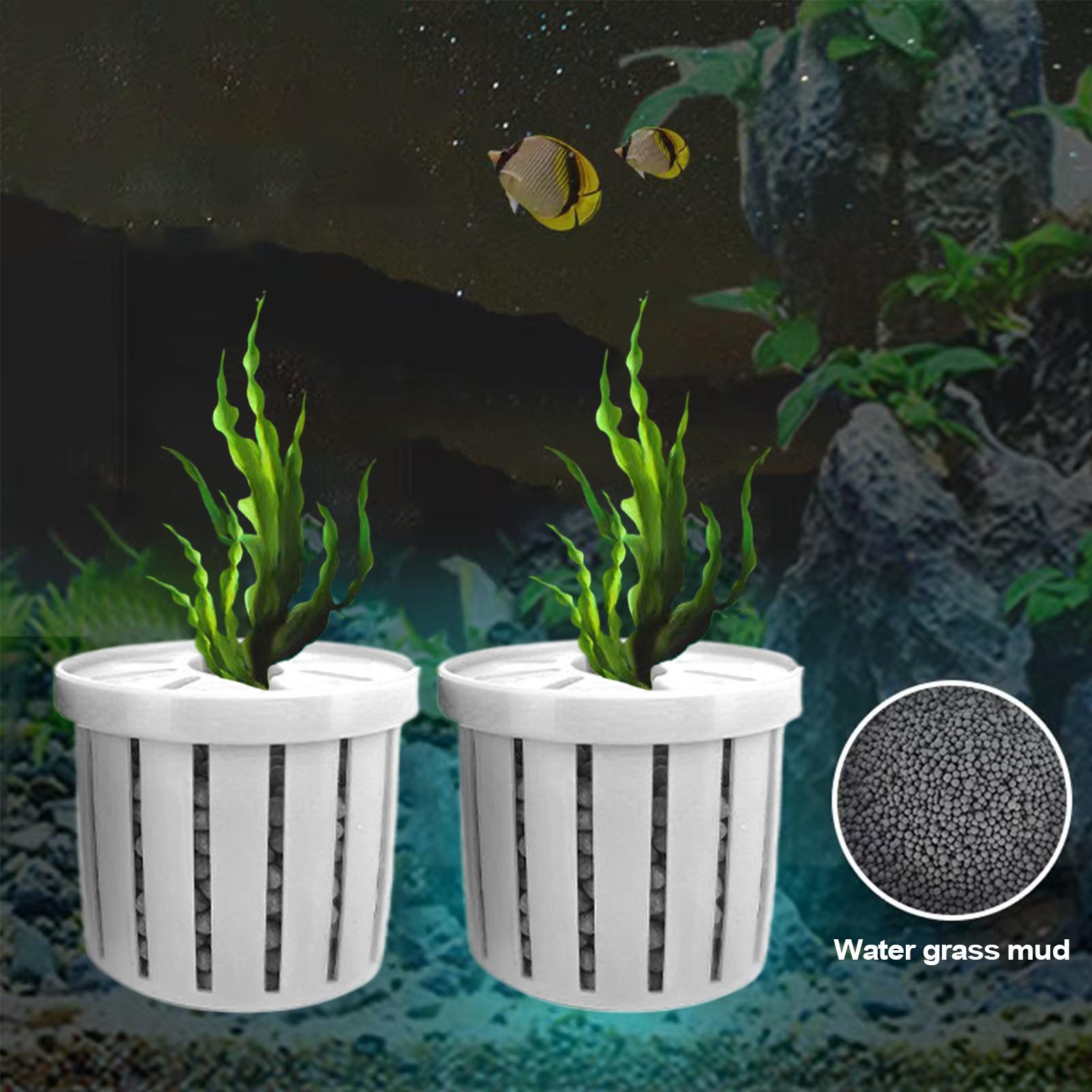 4 個水生植物吊り下げホルダー水槽プランターカップ穴付き水族 - Planted Aquarium Aquascape のレビューと価格