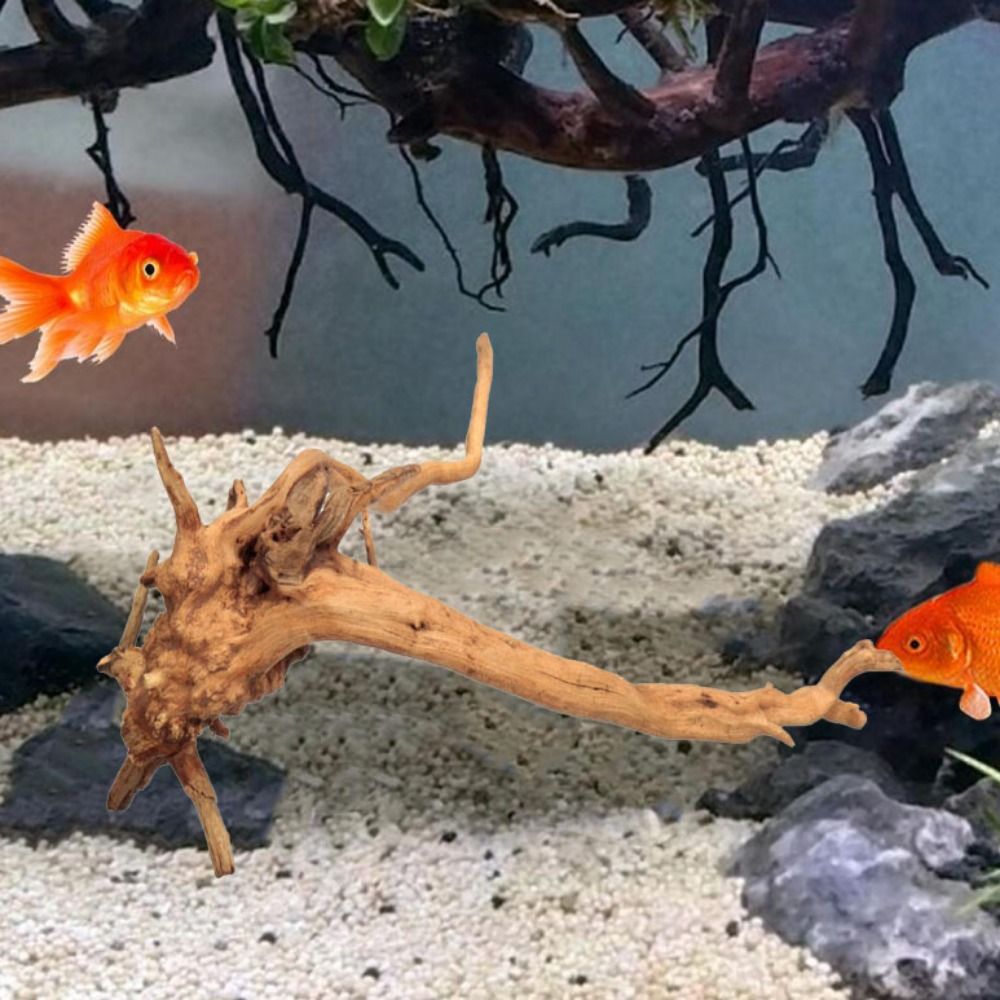 天然木のトランクの装飾水族館の装飾流木の枝造園の装飾品水槽の - Aquarium Planted Tree のレビューと価格