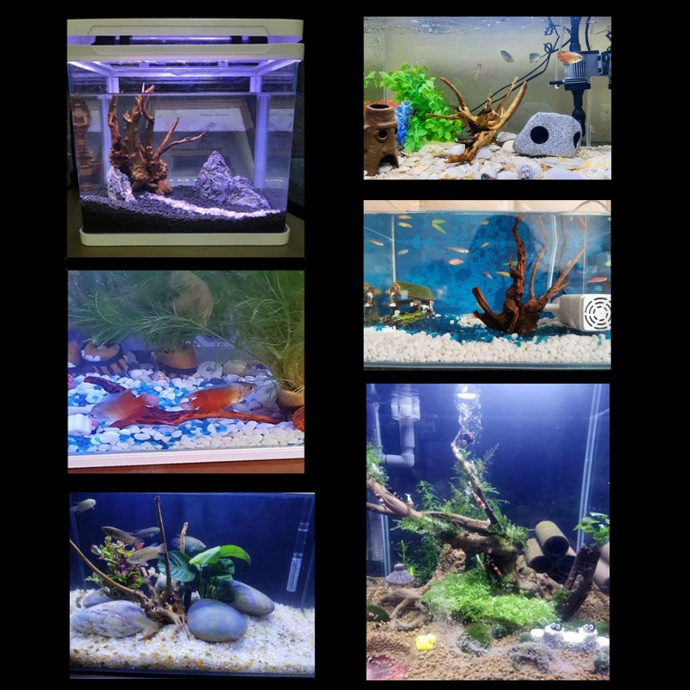 天然木のトランクの装飾水族館の装飾流木の枝造園の装飾品水槽の - Aquarium Planted Tree のレビューと価格