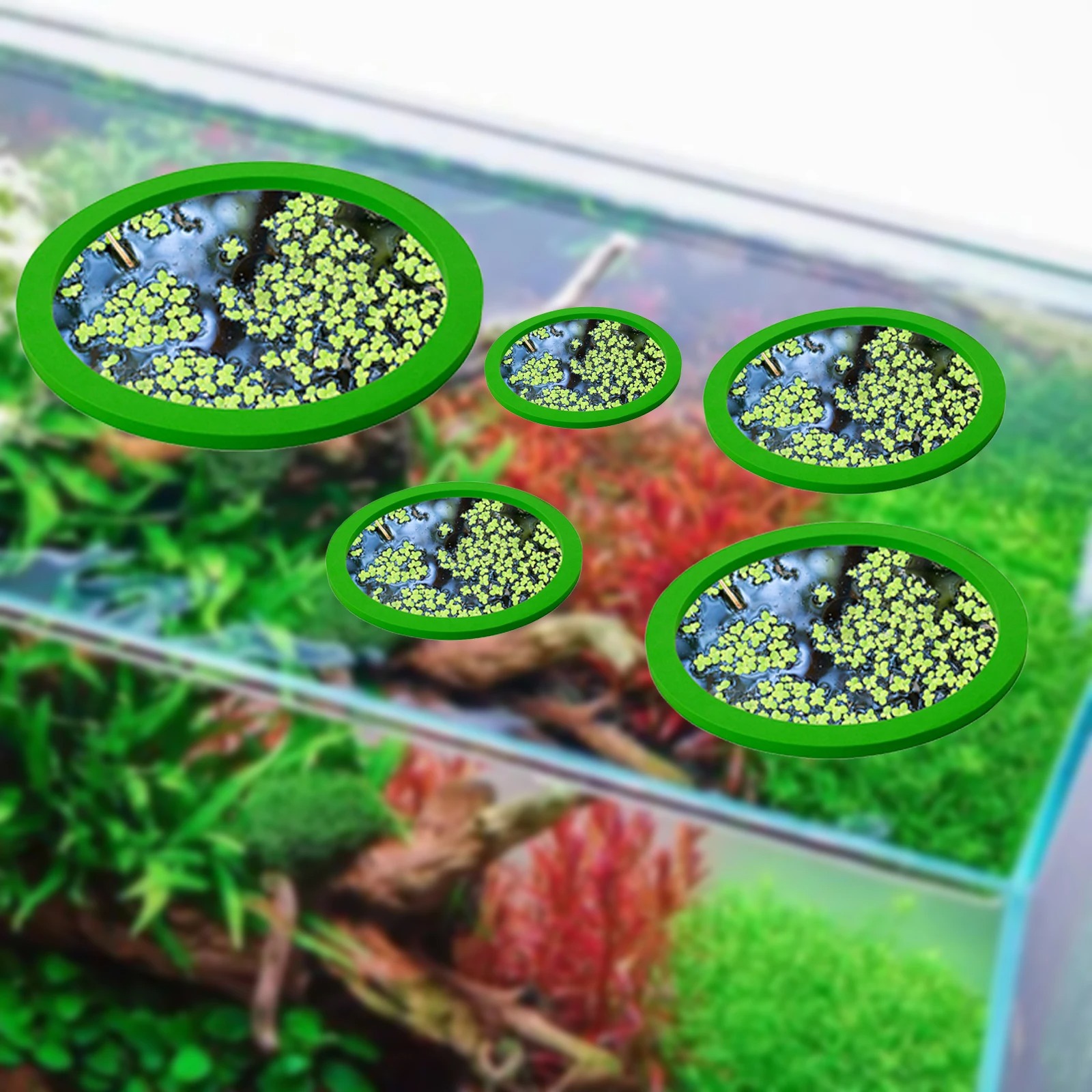 5 個 EVA 魚給餌リング水族館浮遊植物囲い水槽フロート植 - Aquarium Planted Fish Tank のレビューと価格