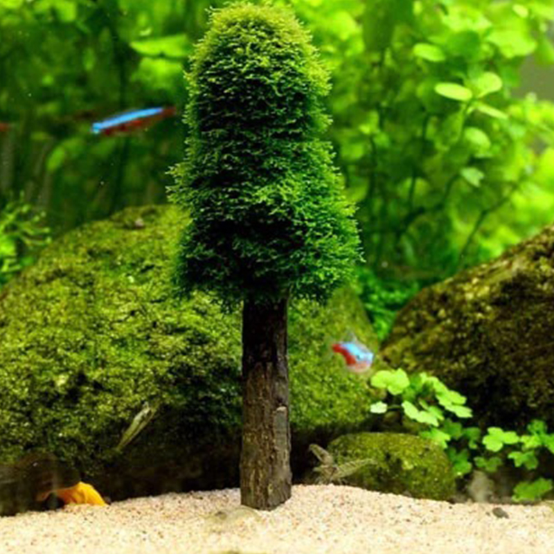 水族館の風景装飾、水槽、造園、装飾、シミュレーション、クリス - Aquarium Planted Tree のレビューと価格