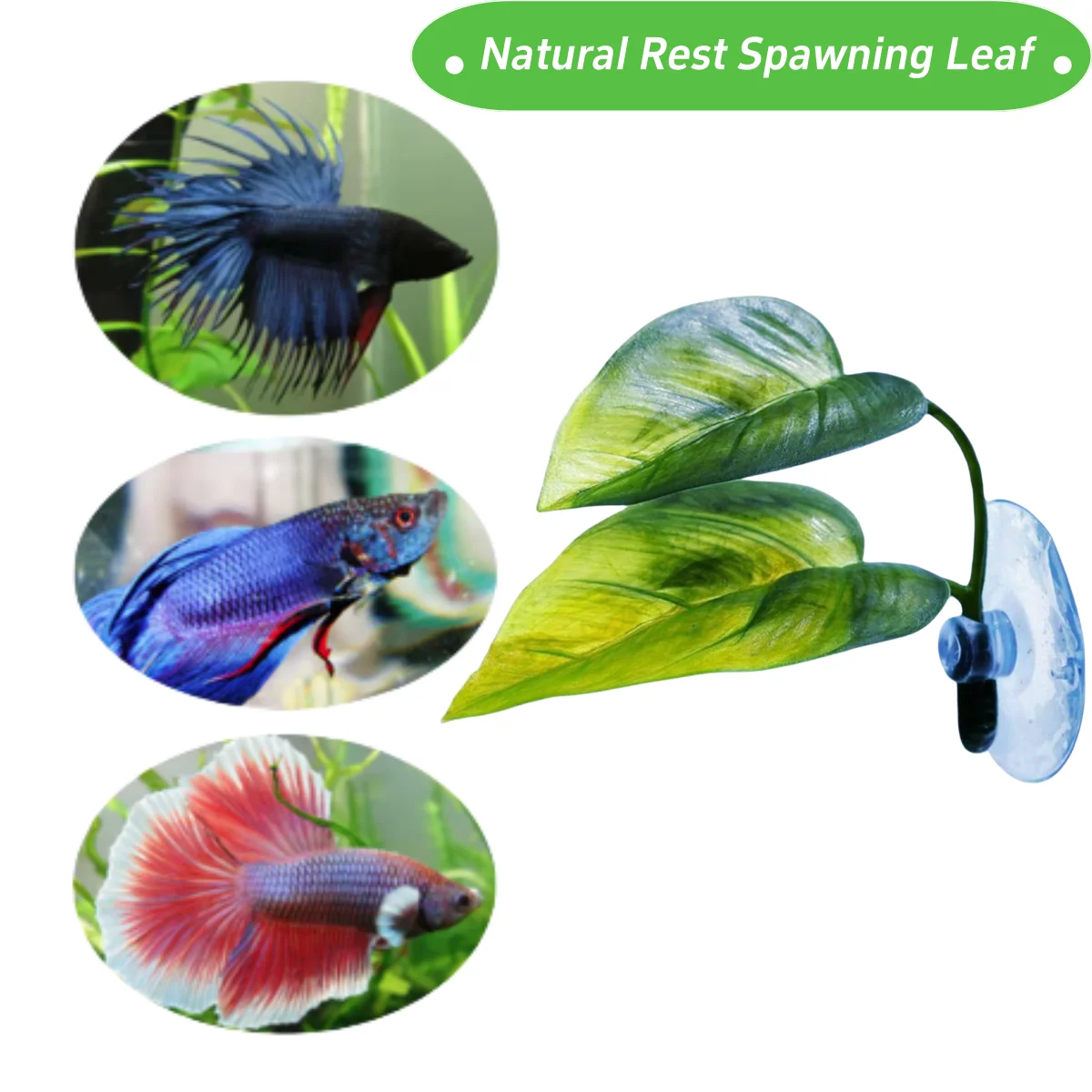 ペット水槽装飾 ベタ用 リラックス プレイプランツ 葉っぱ  - Aquarium Planted Tree のレビューと価格