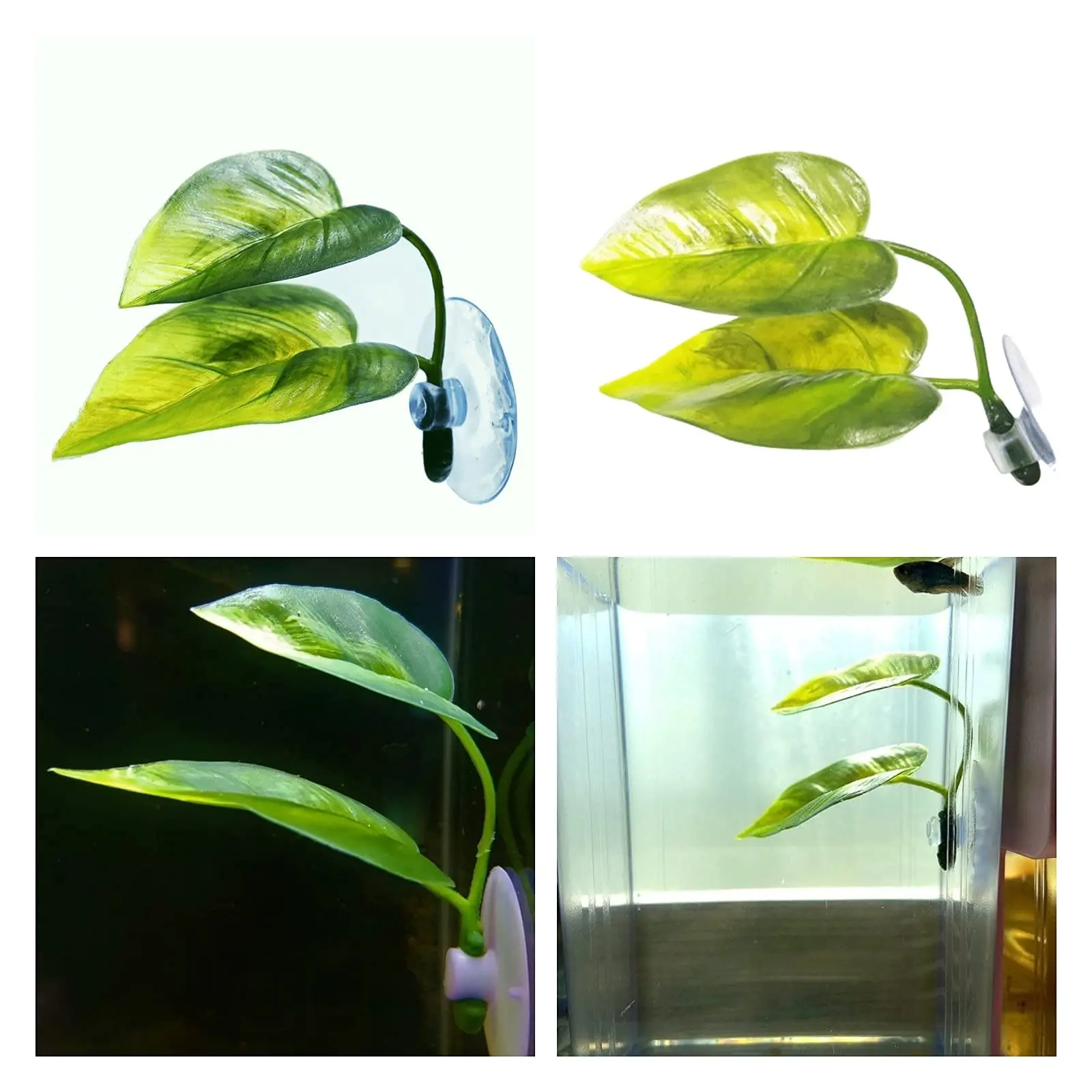 ペット水槽装飾 ベタ用 リラックス プレイプランツ 葉っぱ  - Aquarium Planted Tree のレビューと価格