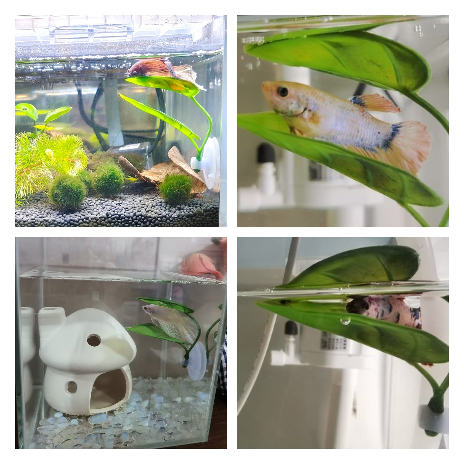 ペット水槽装飾 ベタ用 リラックス プレイプランツ 葉っぱ  - Aquarium Planted Tree のレビューと価格