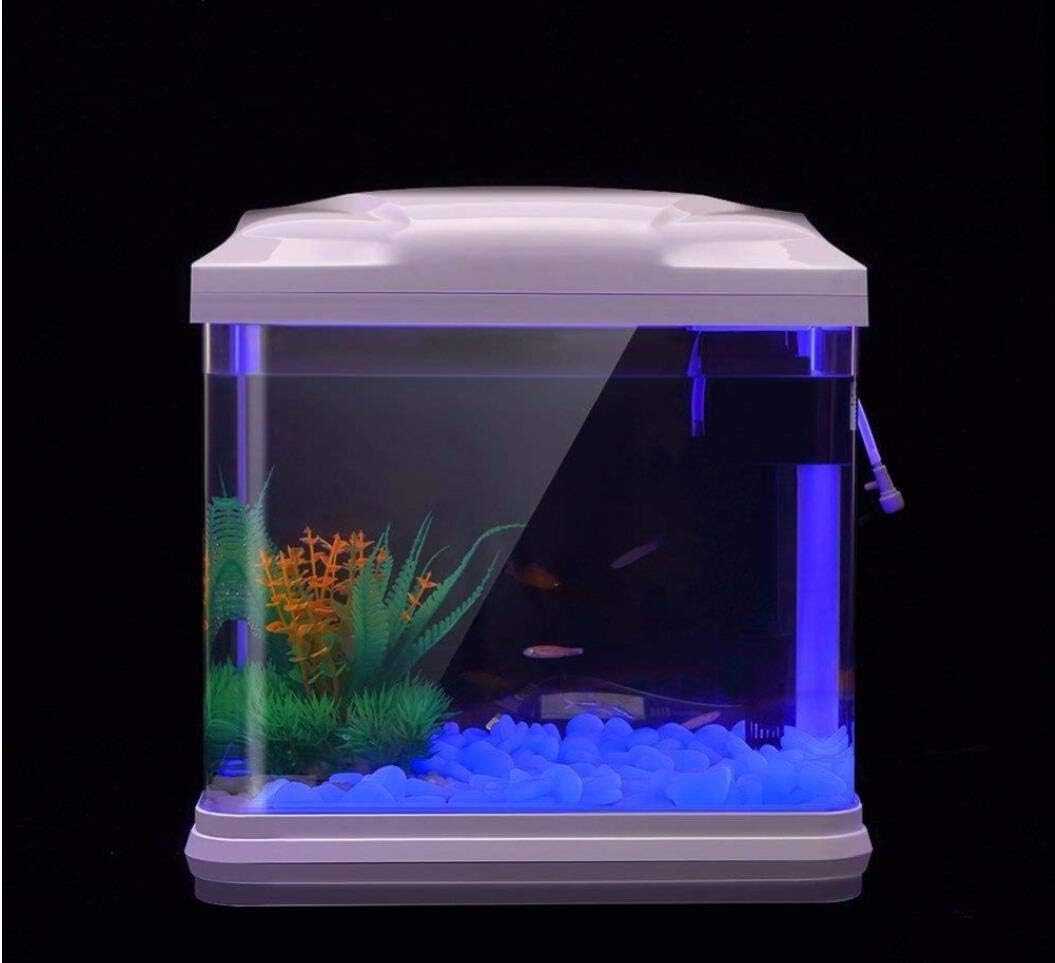 水槽岩グローブルー小石庭用水槽水族館植木鉢盆栽歩道私道 - Aquarium Plant Order のレビューと価格