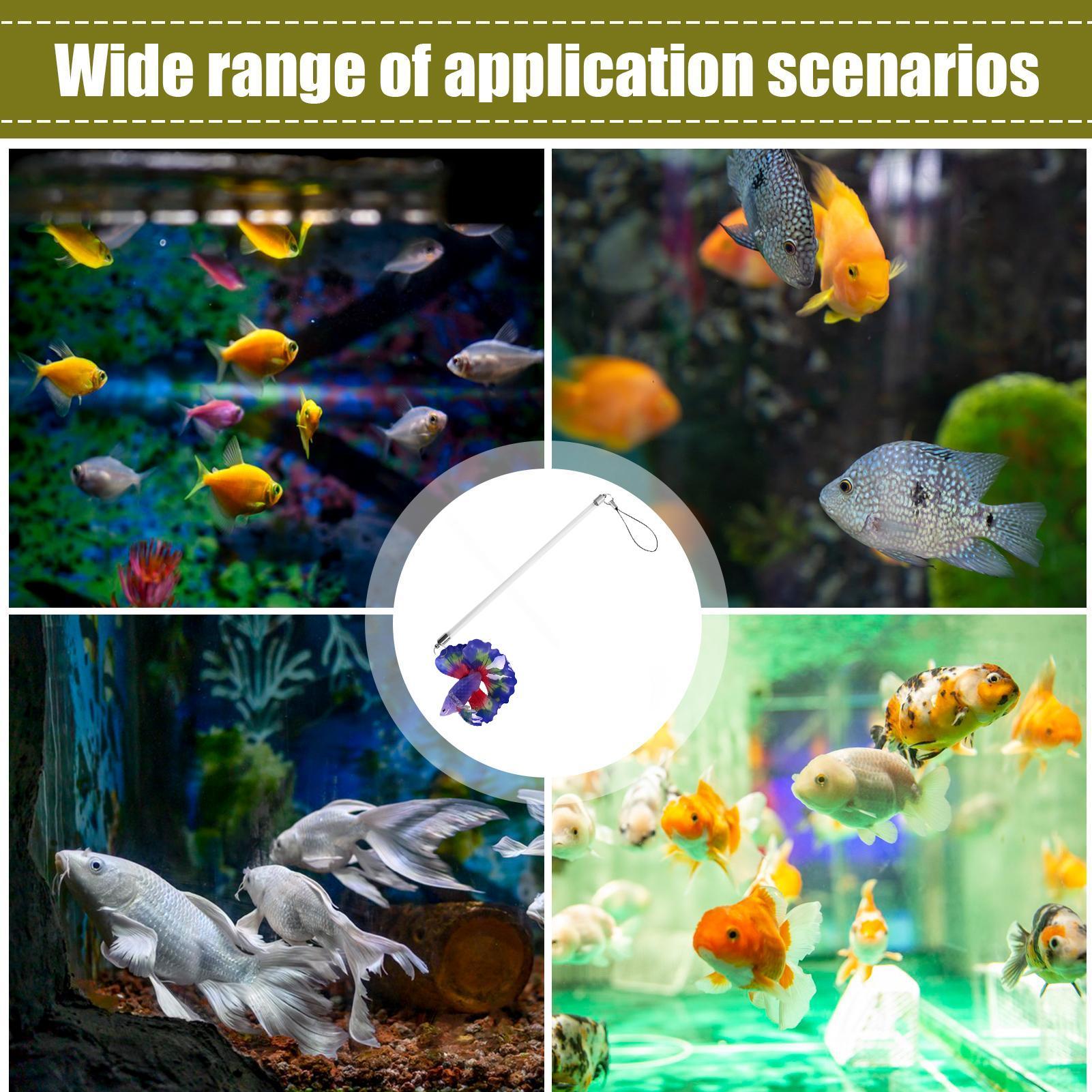 ベタ用フィッシュトレーニングワンド インタラクティブエンリッ - Planted Aquarium Betta のレビューと価格