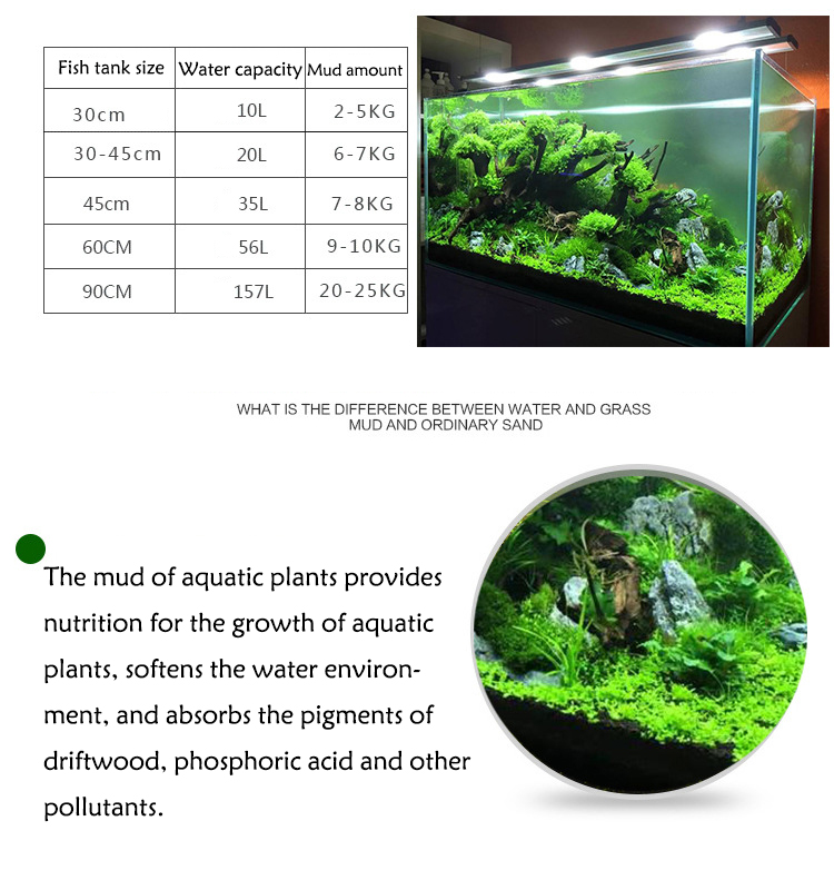水族館植物の種子,水槽の素材,砂,土壌肥料,魚の手入れ,淡水 - Aquarium Plant Order のレビューと価格