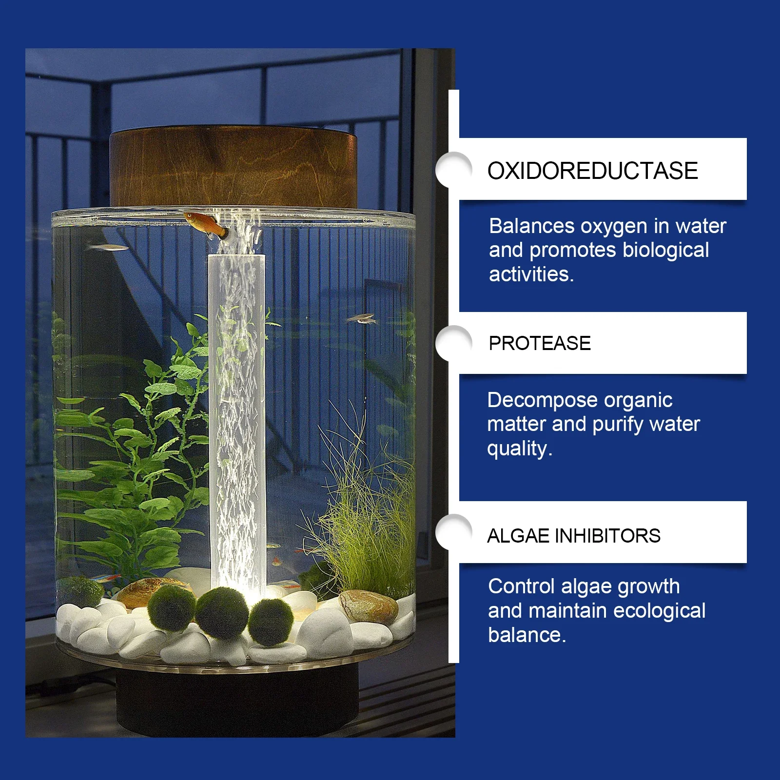 水族館の水の浄化剤、水槽のクリーナー、藻類除去剤、クリアな池 - Aquarium Plant Liquid Fertilizer のレビューと価格