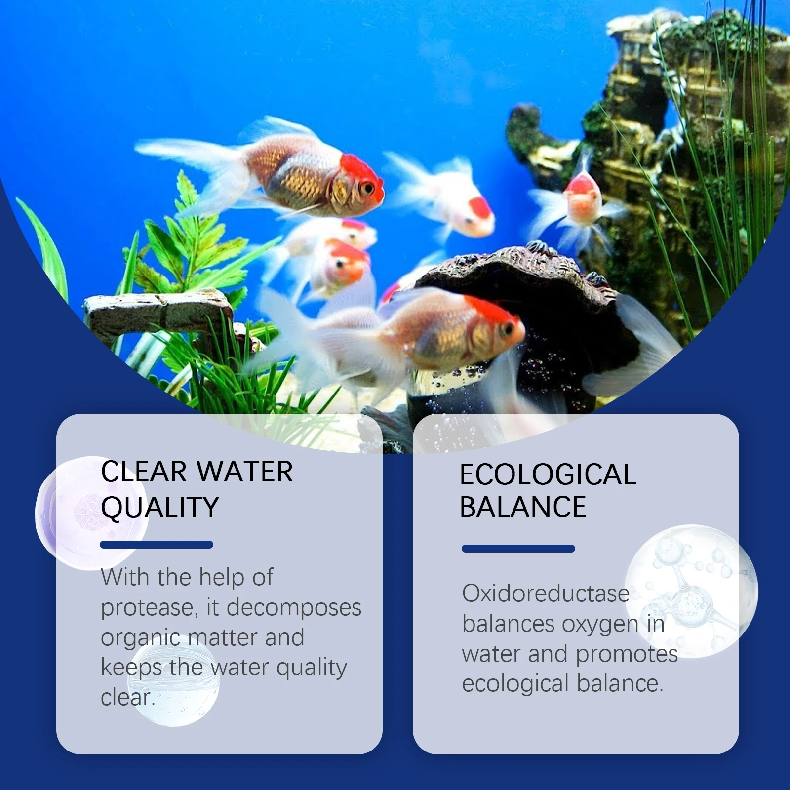 水族館の水の浄化剤、水槽のクリーナー、藻類除去剤、クリアな池 - Aquarium Plant Liquid Fertilizer のレビューと価格