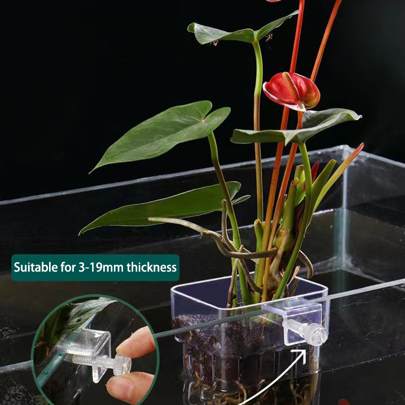 多機能フィッシュ水族館、水草植栽カップ、魚の分離ボックス、水 - Aquarium Planted Fish Tank のレビューと価格