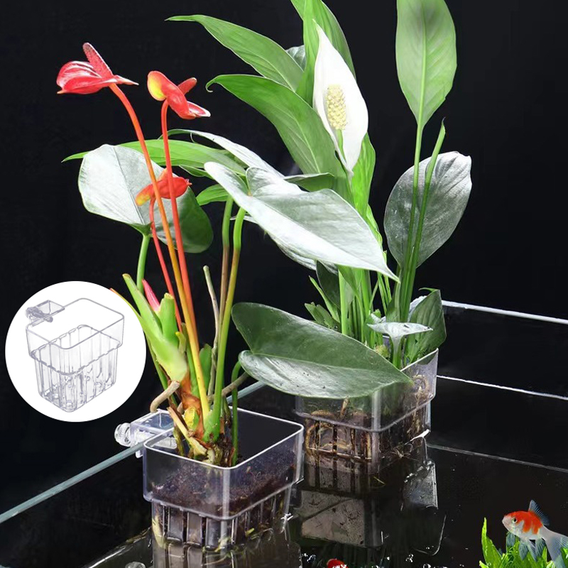 多機能フィッシュ水族館、水草植栽カップ、魚の分離ボックス、水 - Aquarium Planted Fish Tank のレビューと価格