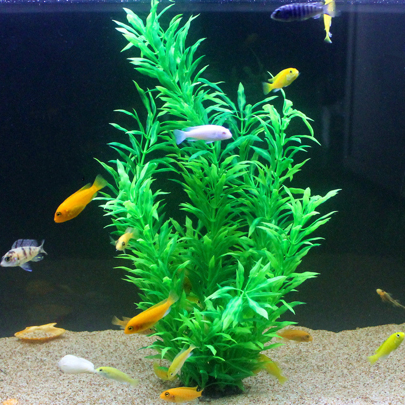 人工水槽50cm,珍しい植物,水族館,偽の竹の葉,水草,プラ - Aquarium Planted Fish Tank のレビューと価格
