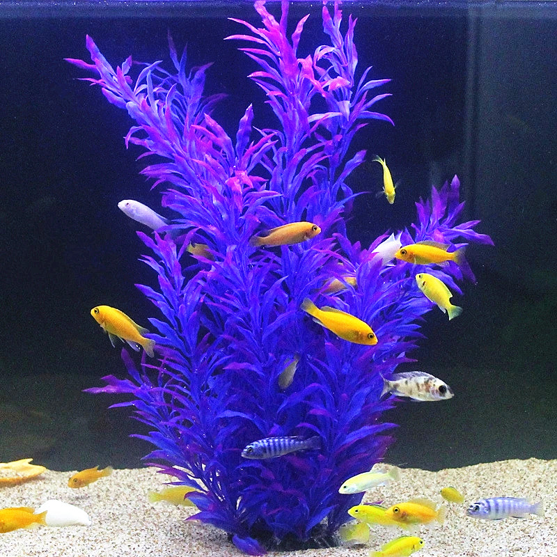 人工水槽50cm,珍しい植物,水族館,偽の竹の葉,水草,プラ - Aquarium Planted Fish Tank のレビューと価格