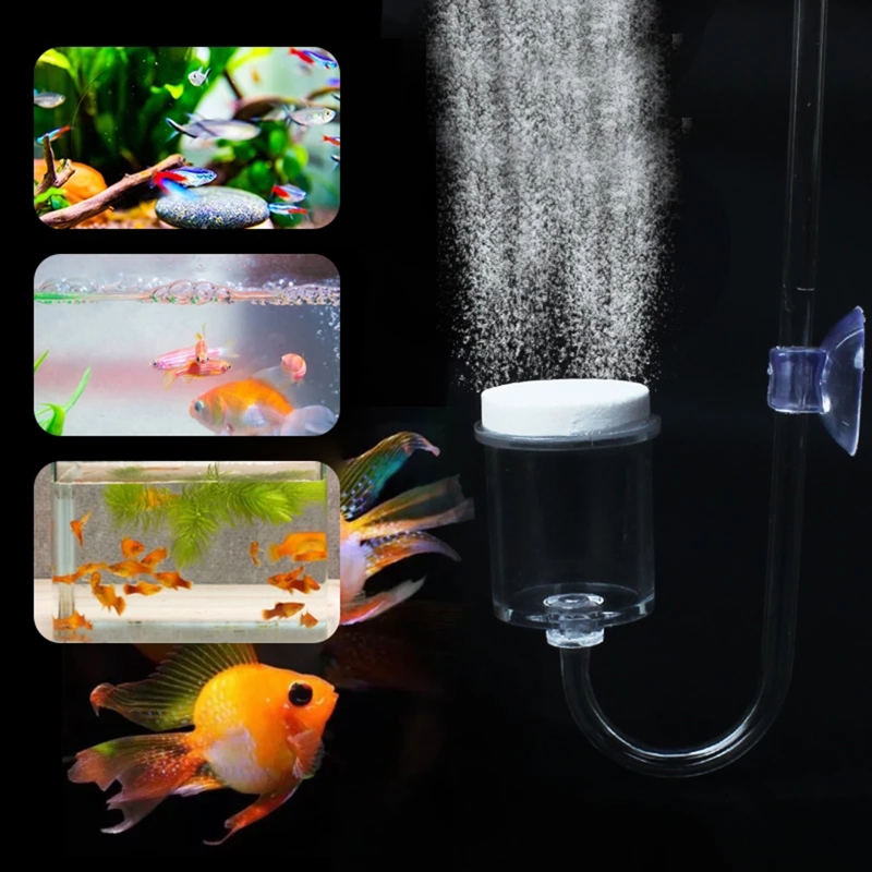 水族館用CO2ディフューザー,日曜大工のガラスタンク,バブル - Planted Aquarium Aquascape のレビューと価格
