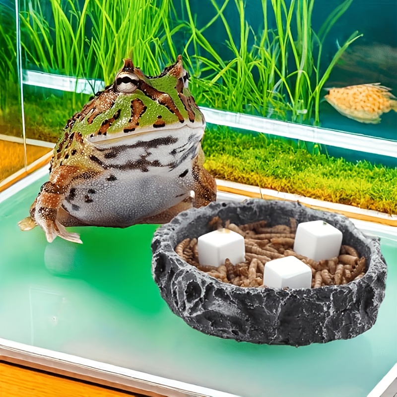 6個入り 魚タンク用カルシウムブロックミネラル 水槽用品 爬 - Aquarium Plant Liquid Fertilizer のレビューと価格