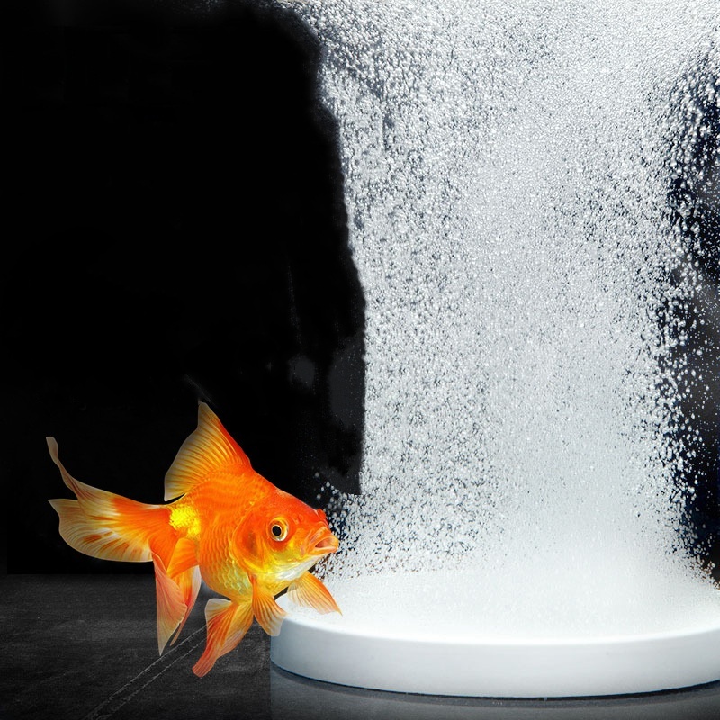 ナノディスクエアストーン酸素供給器 - 水槽用バブルディフュ - Aquarium Lily Pipe のレビューと価格