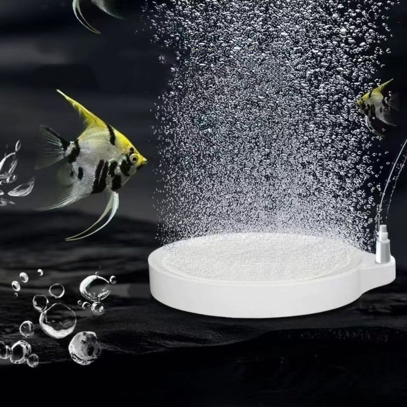 ナノディスクエアストーン酸素供給器 - 水槽用バブルディフュ - Aquarium Lily Pipe のレビューと価格